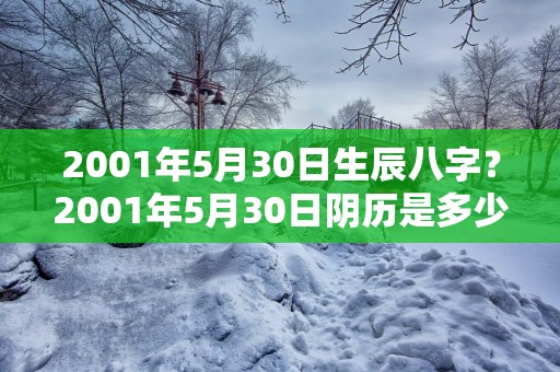 2001年5月30日生辰八字？2001年5月30日阴历是多少