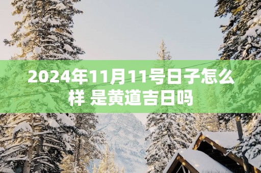 2025年11月11号日子怎么样 是黄道吉日吗