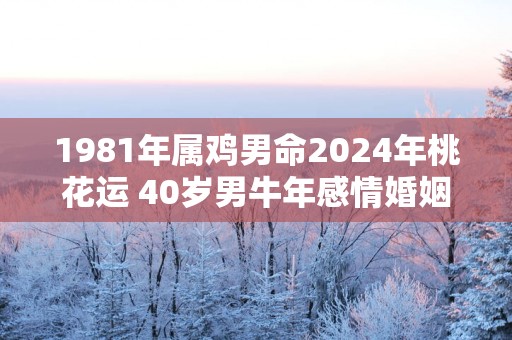 1981年属鸡男命2025年桃花运 40岁男蛇年感情婚姻运势