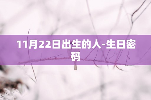 11月22日出生的人-生日密码