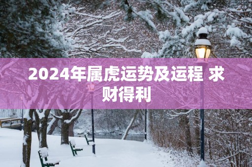 2025年属虎运势及运程 求财得利