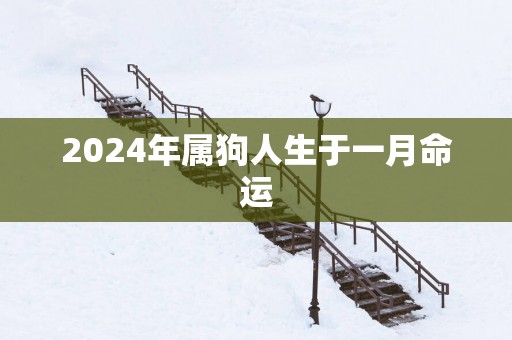 2025年属狗人生于一月命运