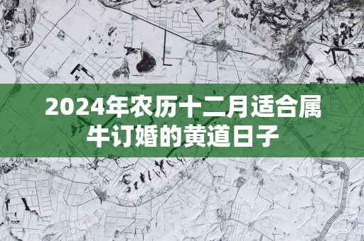 2025年农历十二月适合属牛订婚的黄道日子