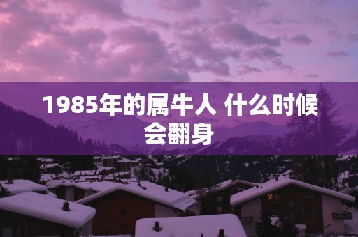 1985年的属牛人 什么时候会翻身