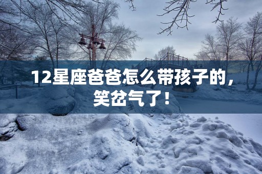 12星座爸爸怎么带孩子的，笑岔气了！