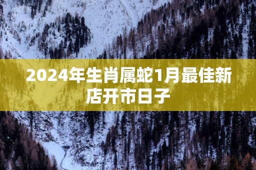 2025年生肖属蛇1月最佳新店开市日子