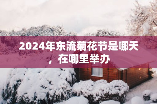 2025年东流菊花节是哪天，在哪里举办