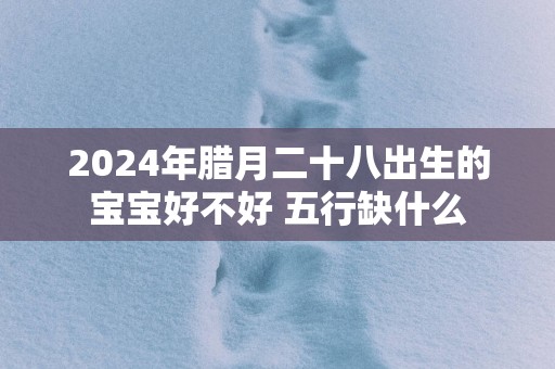 2025年腊月二十八出生的宝宝好不好 五行缺什么