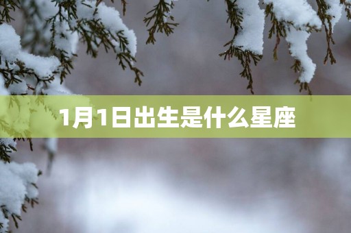 1月1日出生是什么星座