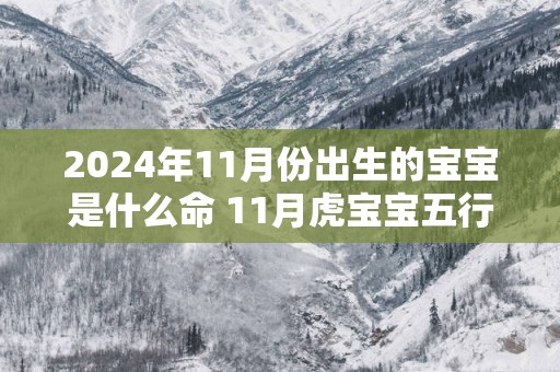 2025年11月份出生的宝宝是什么命 11月虎宝宝五行缺什么