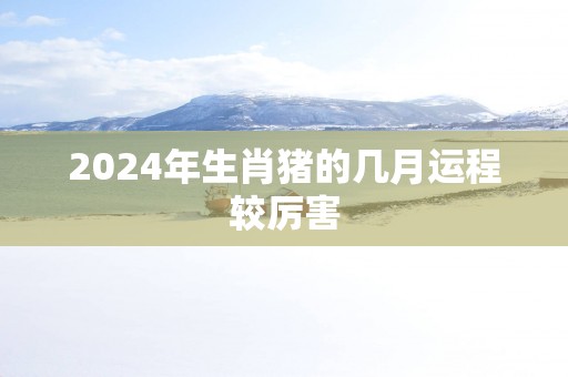 2025年生肖猪的几月运程较厉害