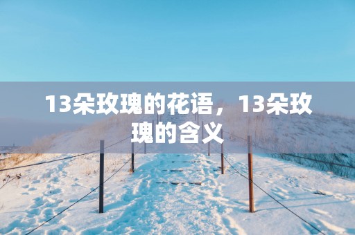 13朵玫瑰的花语，13朵玫瑰的含义