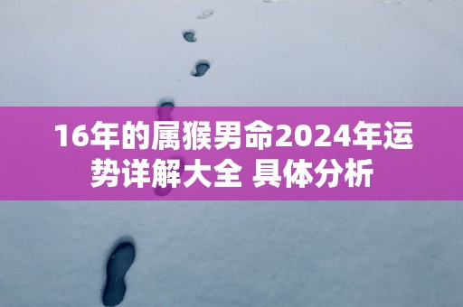 16年的属猴男命2025年运势详解大全 具体分析