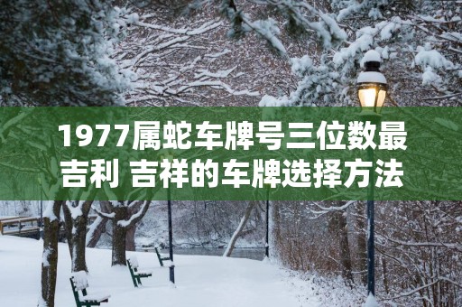 1977属蛇车牌号三位数最吉利 吉祥的车牌选择方法