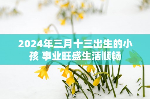 2025年三月十三出生的小孩 事业旺盛生活顺畅