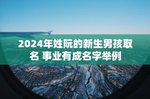 2025年姓阮的新生男孩取名 事业有成名字举例