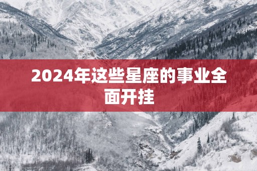 2025年这些星座的事业全面开挂