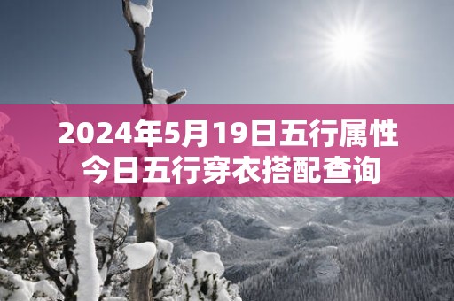 2025年5月19日五行属性 今日五行穿衣搭配查询