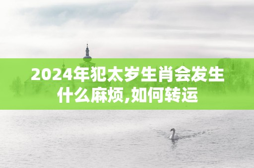 2025年犯太岁生肖会发生什么麻烦,如何转运