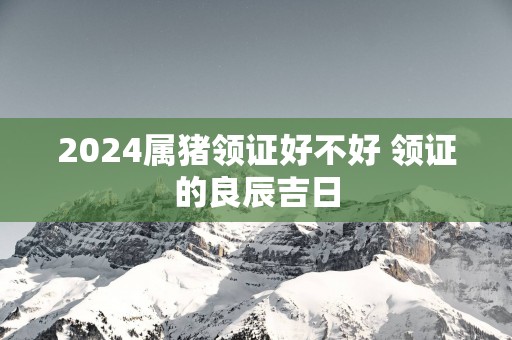 2025属猪领证好不好 领证的良辰吉日