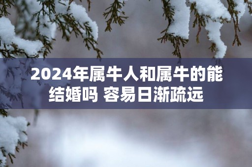 2025年属牛人和属牛的能结婚吗 容易日渐疏远
