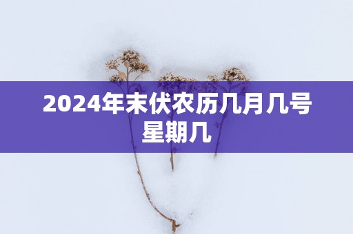 2025年末伏农历几月几号星期几