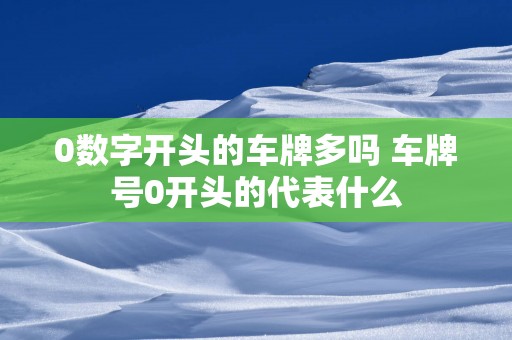 0数字开头的车牌多吗 车牌号0开头的代表什么