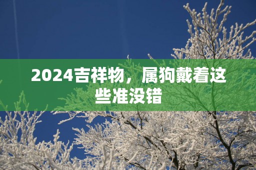 2025吉祥物，属狗戴着这些准没错