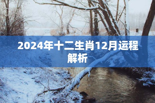 2025年十二生肖12月运程解析