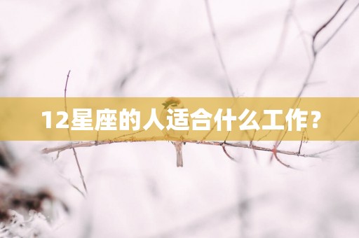 12星座的人适合什么工作？