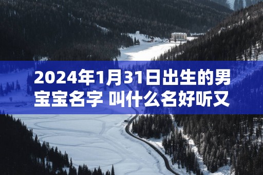 2025年1月31日出生的男宝宝名字 叫什么名好听又吉利