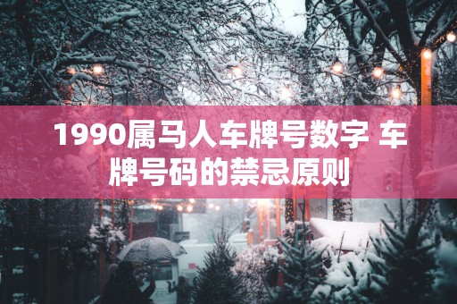 1990属马人车牌号数字 车牌号码的禁忌原则