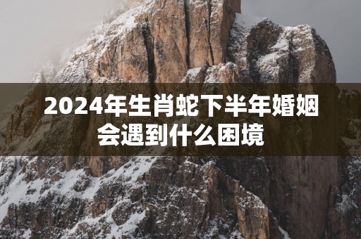 2025年生肖蛇下半年婚姻会遇到什么困境