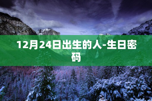12月24日出生的人-生日密码