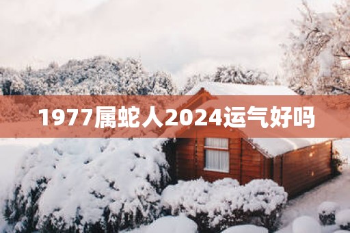 1977属蛇人2025运气好吗