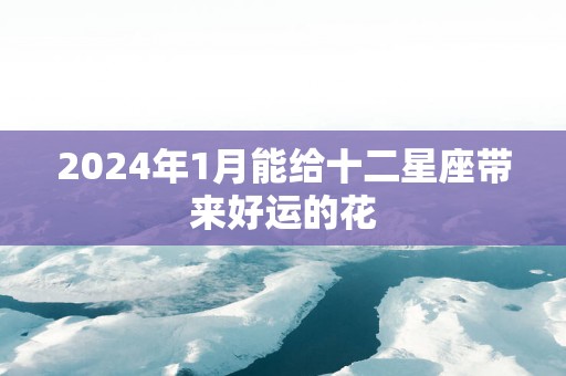 2025年1月能给十二星座带来好运的花