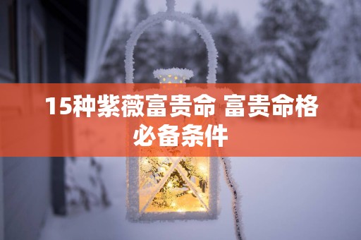 15种紫薇富贵命 富贵命格必备条件