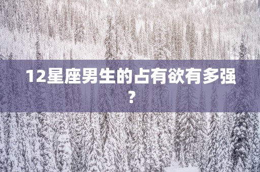 12星座男生的占有欲有多强？