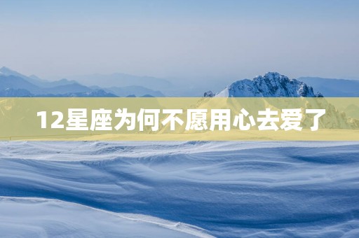 12星座为何不愿用心去爱了