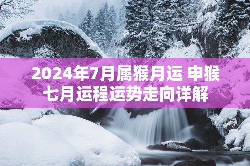 2025年7月属猴月运 申猴七月运程运势走向详解