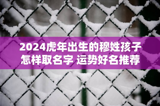 2025蛇年出生的穆姓孩子怎样取名字 运势好名推荐