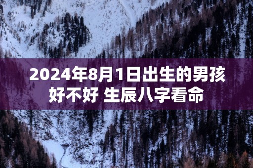 2025年8月1日出生的男孩好不好 生辰八字看命