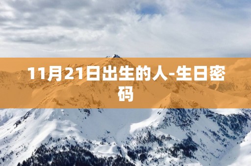 11月21日出生的人-生日密码