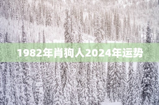 1982年肖狗人2025年运势