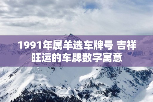 1991年属羊选车牌号 吉祥旺运的车牌数字寓意