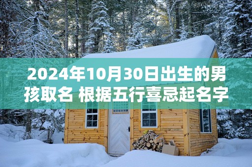2025年10月30日出生的男孩取名 根据五行喜忌起名字网