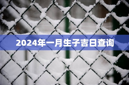2025年一月生子吉日查询
