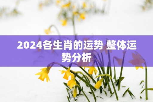 2025各生肖的运势 整体运势分析