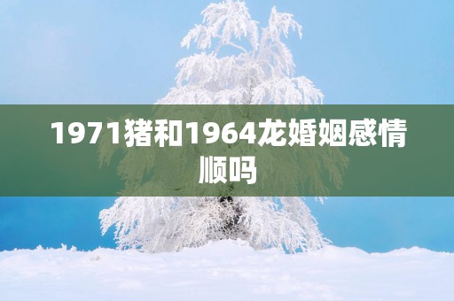 1971猪和1964龙婚姻感情顺吗