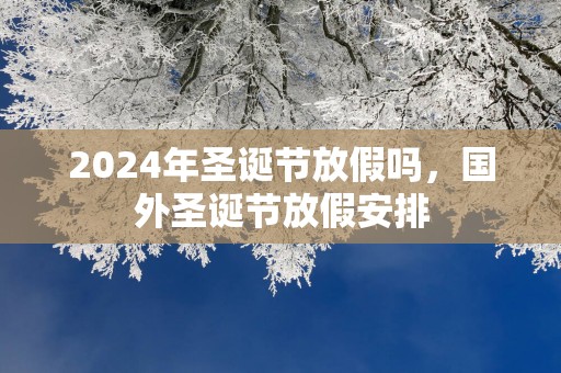 2025年圣诞节放假吗，国外圣诞节放假安排
